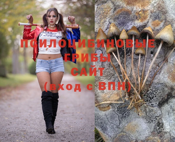 spice Остров